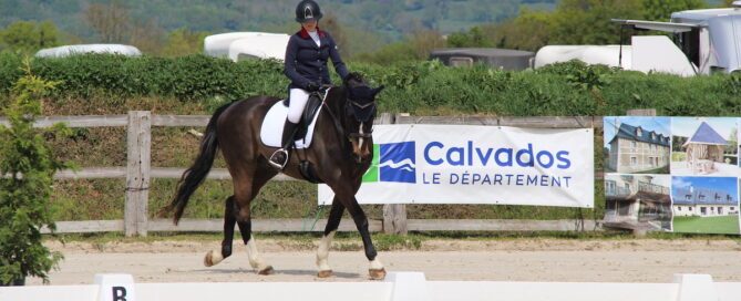 Dressage aux Championnats du Calvados 2023